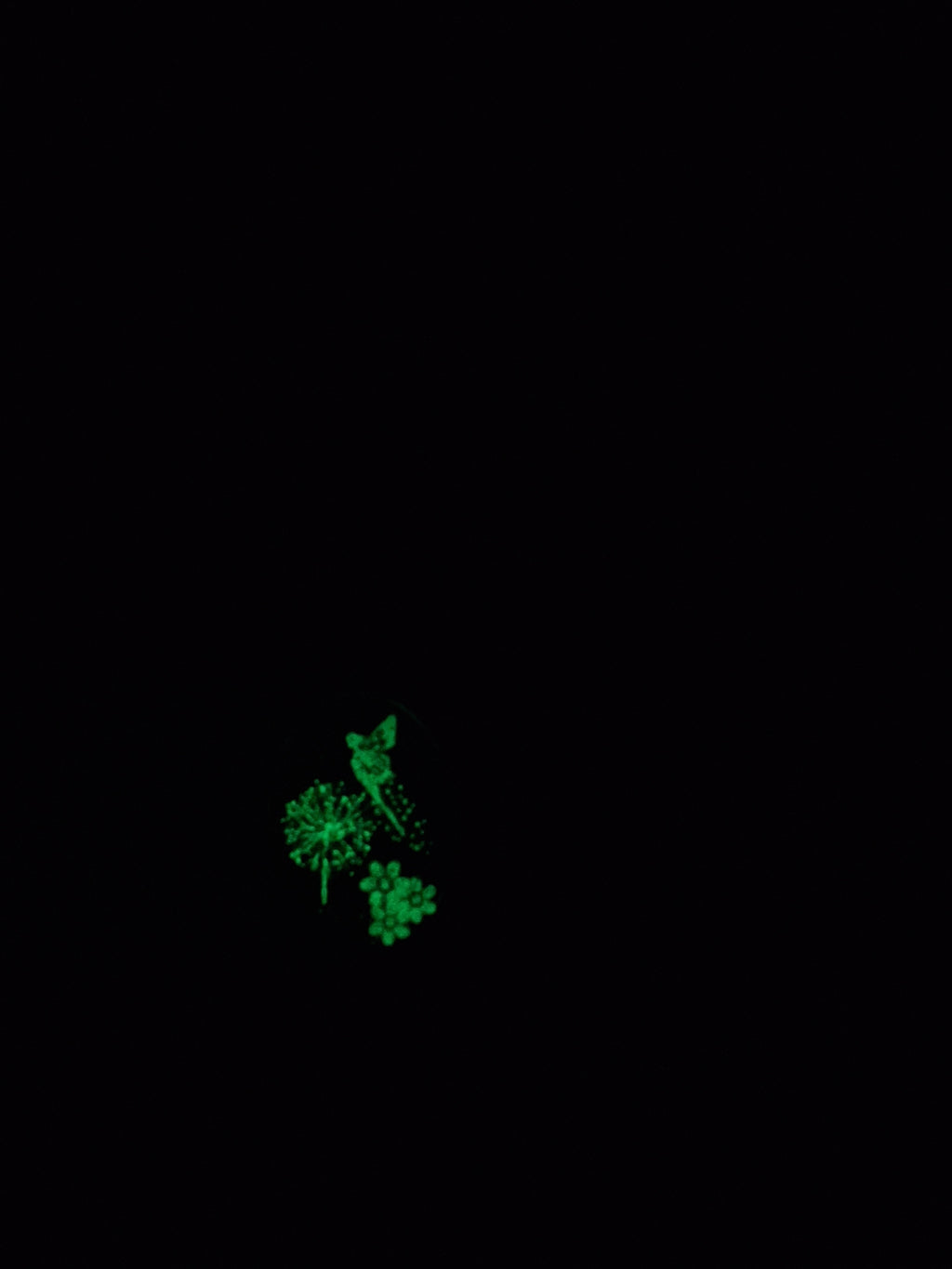 Collier Lumina – Fée survolant un pissenlit dans la nuit