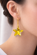 Boucles d’oreilles étoiles de mer