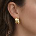 Boucles d’oreilles 2 anneaux
