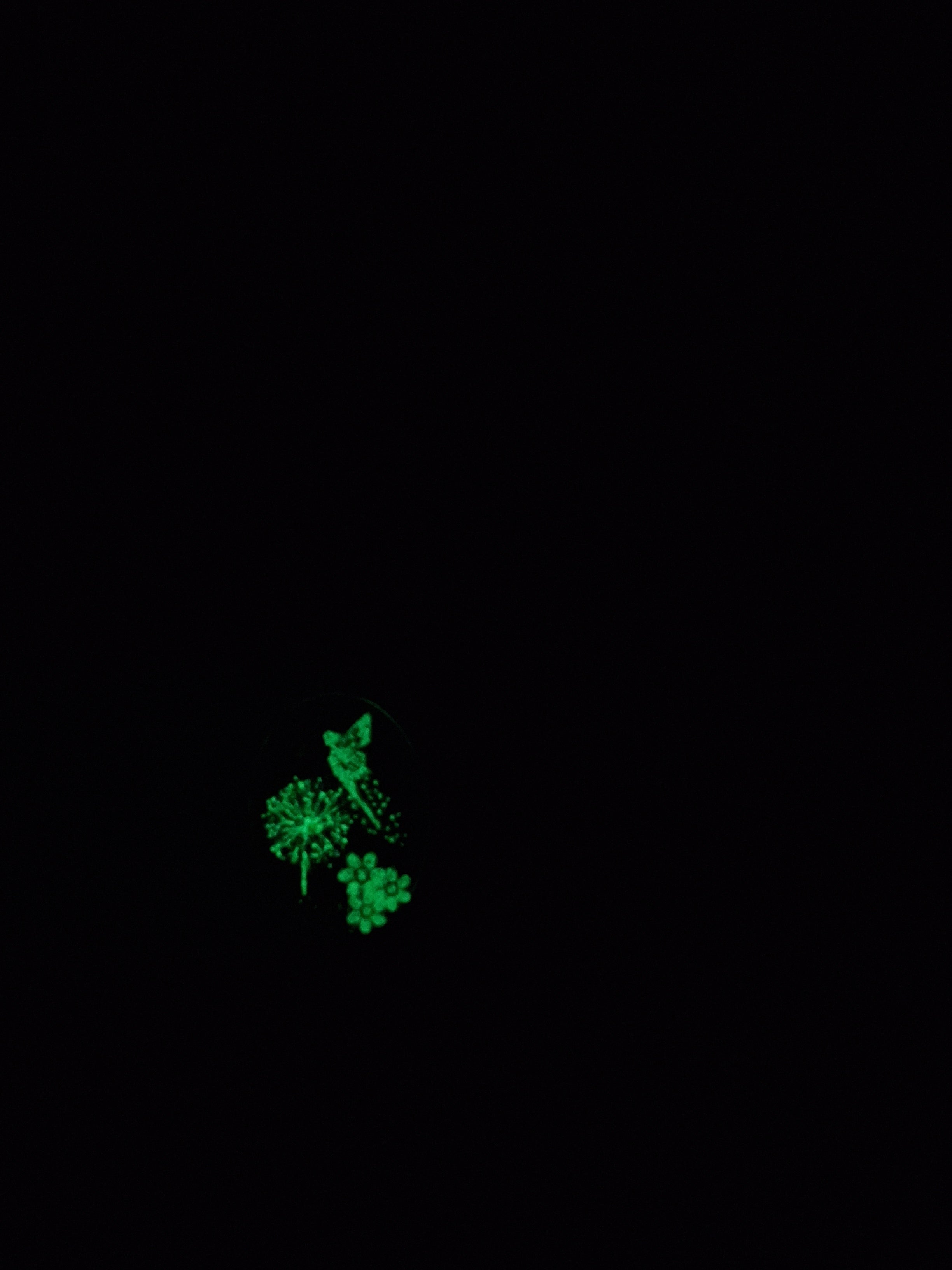 Collier Lumina – Fée survolant un pissenlit dans la nuit